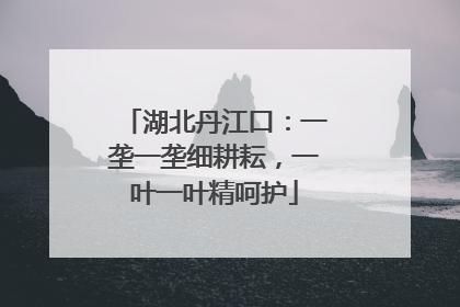湖北丹江口：一垄一垄细耕耘，一叶一叶精呵护