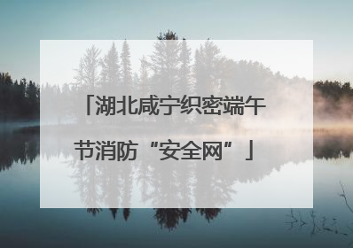 湖北咸宁织密端午节消防“安全网”