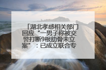 湖北孝感相关部门回应“一男子称被交警打断9根肋骨未立案”：已成立联合专班开展工作