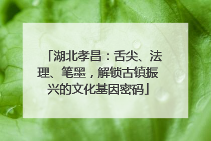 湖北孝昌：舌尖、法理、笔墨，解锁古镇振兴的文化基因密码