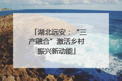 湖北远安：“三产融合”激活乡村振兴新动能