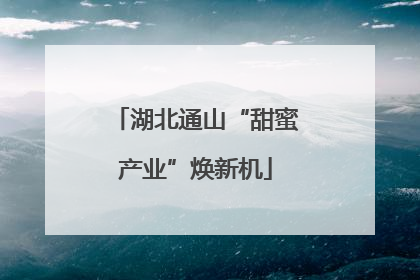 湖北通山“甜蜜产业”焕新机