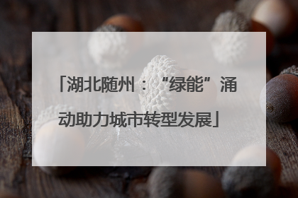 湖北随州：“绿能”涌动助力城市转型发展