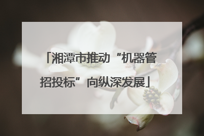 湘潭市推动“机器管招投标”向纵深发展