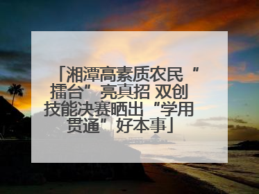 湘潭高素质农民“擂台”亮真招 双创技能决赛晒出“学用贯通”好本事