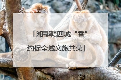 湘鄂赣四城“香”约促全域文旅共荣