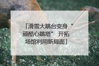 滑雪大跳台变身“顽酷心跳塔” 开拓场馆利用新局面
