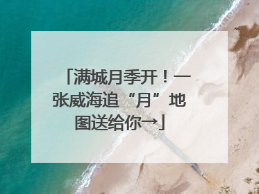 满城月季开！一张威海追“月”地图送给你→