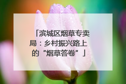 滨城区烟草专卖局：乡村振兴路上的“烟草答卷”