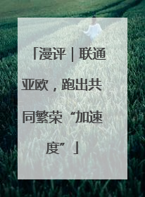 漫评｜联通亚欧，跑出共同繁荣“加速度”