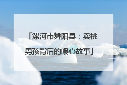 漯河市舞阳县：卖桃男孩背后的暖心故事