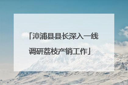 漳浦县县长深入一线调研荔枝产销工作