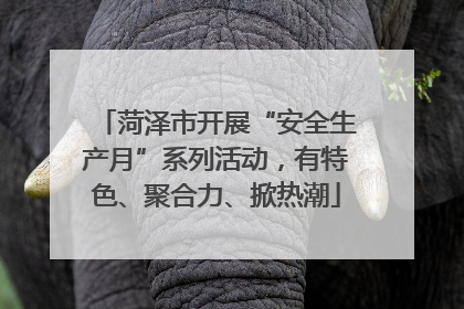 菏泽市开展“安全生产月”系列活动，有特色、聚合力、掀热潮