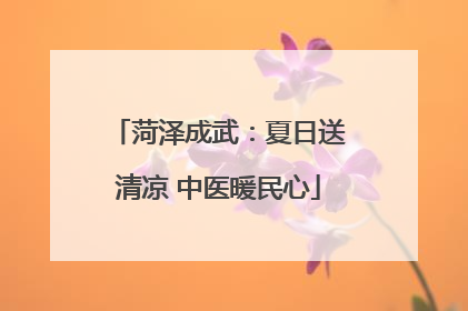 菏泽成武：夏日送清凉 中医暖民心