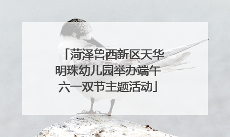 菏泽鲁西新区天华明珠幼儿园举办端午六一双节主题活动