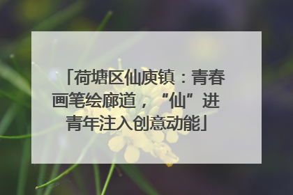 荷塘区仙庾镇：青春画笔绘廊道，“仙”进青年注入创意动能