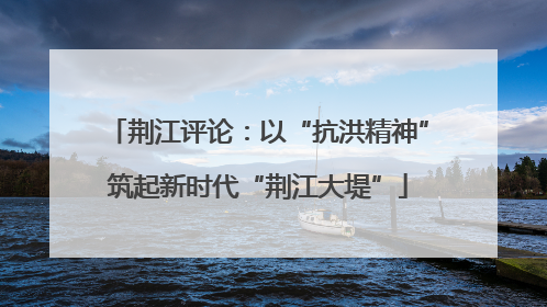 荆江评论：以“抗洪精神”筑起新时代“荆江大堤”