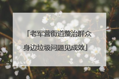 老军营街道整治群众身边垃圾问题见成效