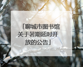 聊城市图书馆关于暑期延时开放的公告