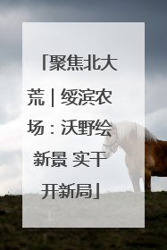 聚焦北大荒｜绥滨农场：沃野绘新景 实干开新局
