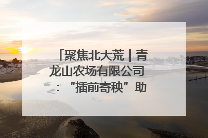 聚焦北大荒｜青龙山农场有限公司：“插前寄秧”助力农业节本增效