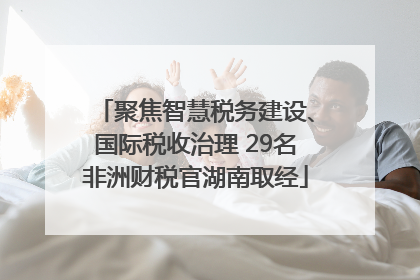 聚焦智慧税务建设、国际税收治理 29名非洲财税官湖南取经