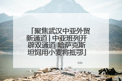 聚焦武汉中亚外贸新通道│中亚班列开辟双通道 哈萨克斯坦饲用小麦将抵鄂