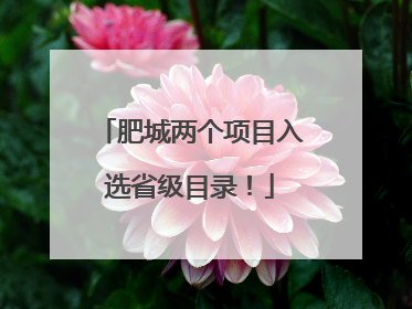 肥城两个项目入选省级目录！