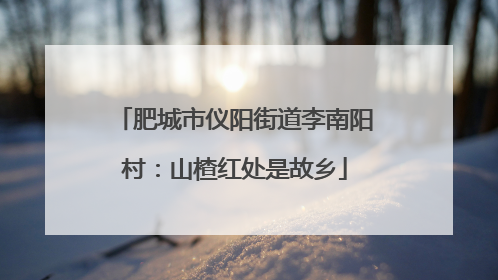 肥城市仪阳街道李南阳村：山楂红处是故乡