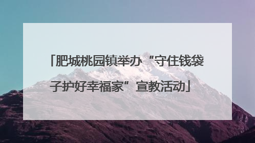肥城桃园镇举办“守住钱袋子护好幸福家”宣教活动