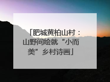 肥城黄柏山村：山野间绘就“小而美”乡村诗画