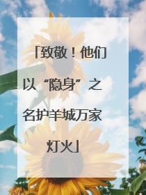 致敬！他们以“隐身”之名护羊城万家灯火
