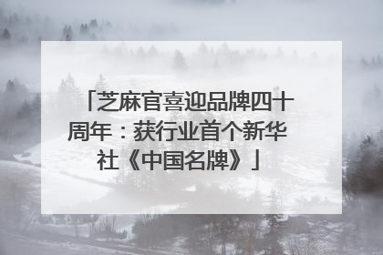 芝麻官喜迎品牌四十周年：获行业首个新华社《中国名牌》