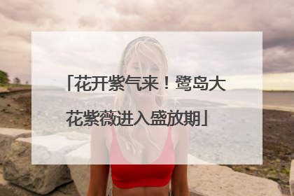 花开紫气来！鹭岛大花紫薇进入盛放期