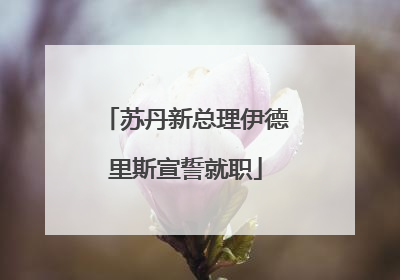 苏丹新总理伊德里斯宣誓就职