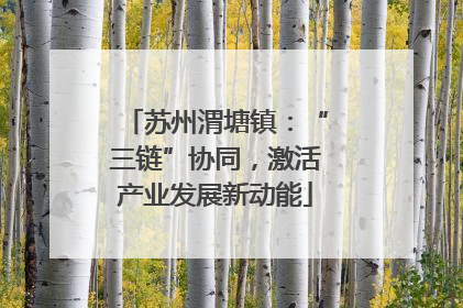 苏州渭塘镇：“三链”协同，激活产业发展新动能