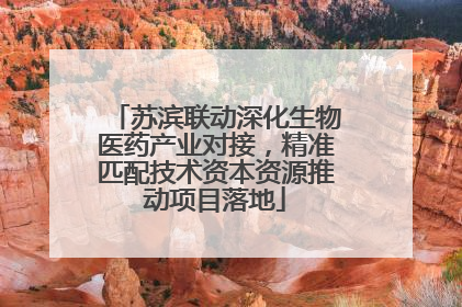 苏滨联动深化生物医药产业对接，精准匹配技术资本资源推动项目落地