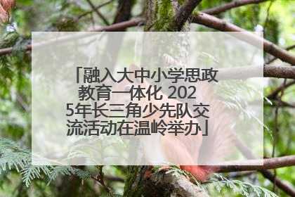 融入大中小学思政教育一体化 2025年长三角少先队交流活动在温岭举办