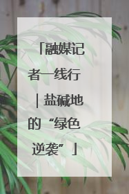 融媒记者一线行｜盐碱地的“绿色逆袭”