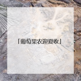 葡萄果农迎夏收
