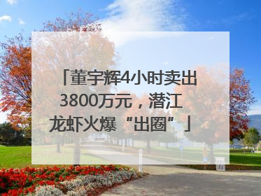 董宇辉4小时卖出3800万元，潜江龙虾火爆“出圈”