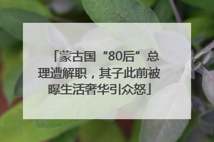 蒙古国“80后”总理遭解职，其子此前被曝生活奢华引众怒