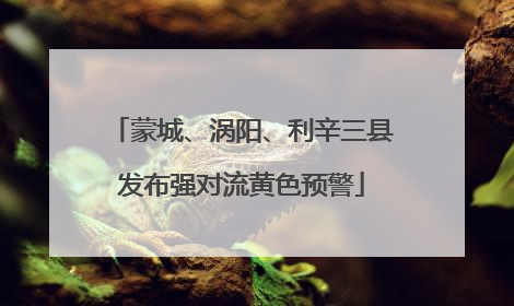 蒙城、涡阳、利辛三县发布强对流黄色预警