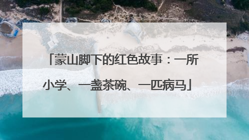 蒙山脚下的红色故事：一所小学、一盏茶碗、一匹病马
