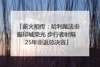 薪火相传：哈利魔法重振印城荣光 步行者时隔25年重返总决赛