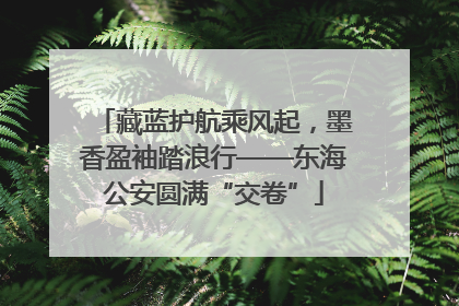 藏蓝护航乘风起，墨香盈袖踏浪行——东海公安圆满“交卷”