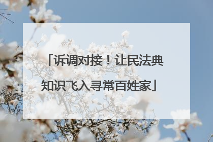 诉调对接！让民法典知识飞入寻常百姓家