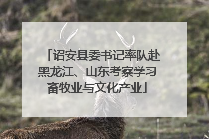 诏安县委书记率队赴黑龙江、山东考察学习畜牧业与文化产业
