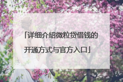 详细介绍微粒贷借钱的开通方式与官方入口