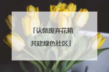 认领废弃花箱 共建绿色社区
